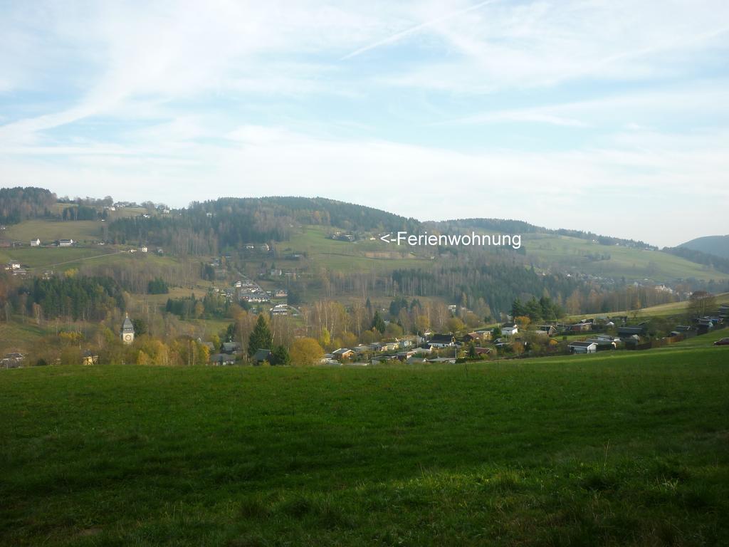 Ferienwohnung Laempelberg Klingenthal Oda fotoğraf