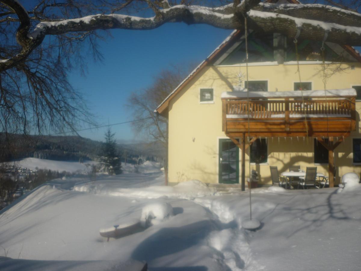 Ferienwohnung Laempelberg Klingenthal Dış mekan fotoğraf