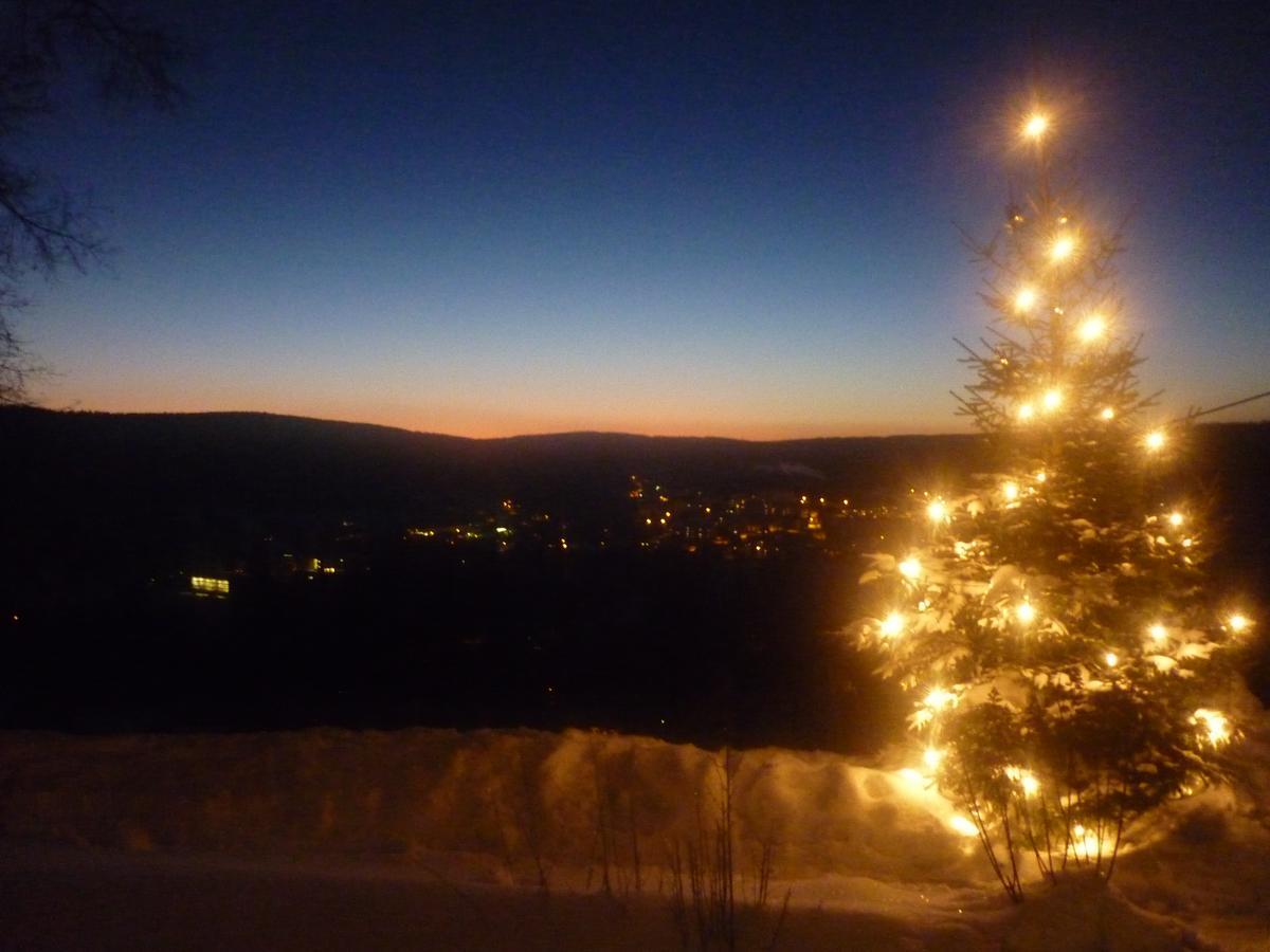 Ferienwohnung Laempelberg Klingenthal Dış mekan fotoğraf