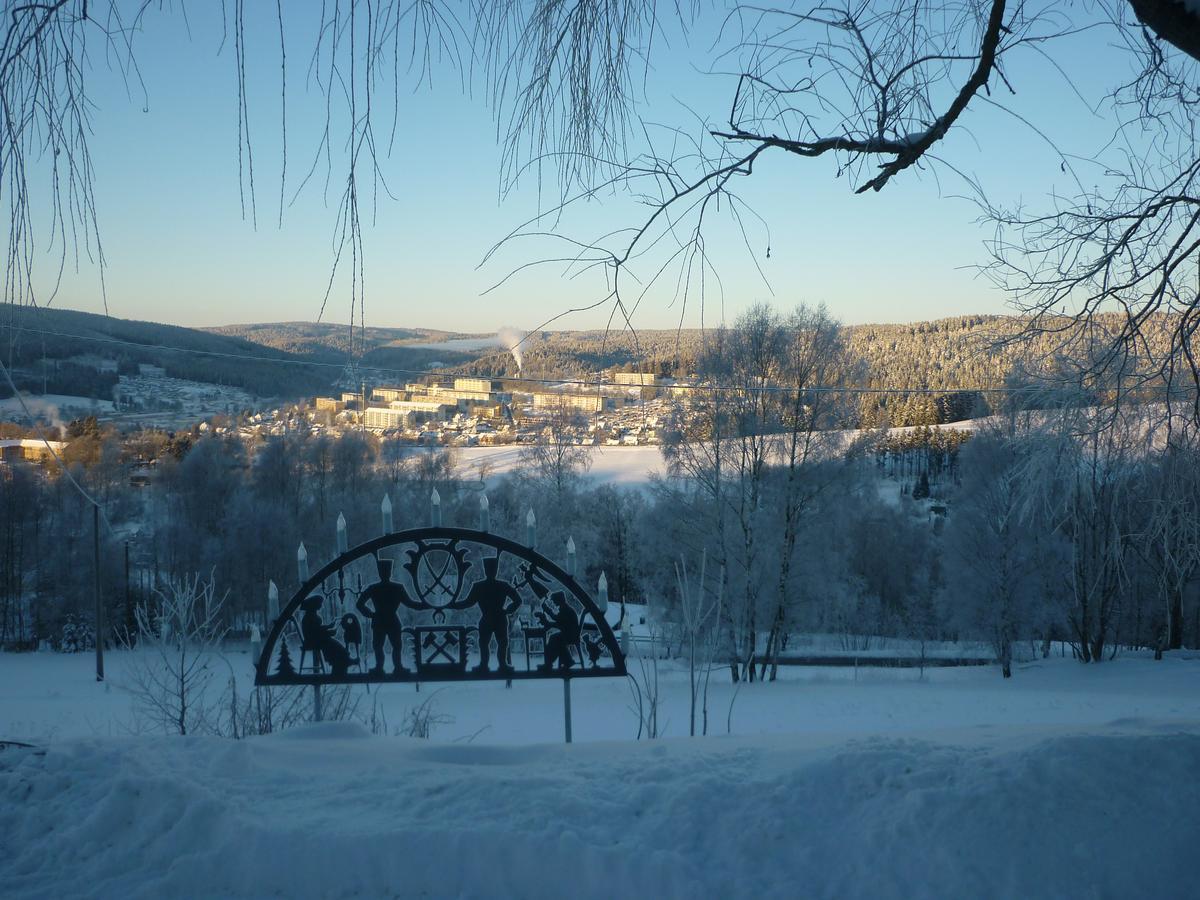 Ferienwohnung Laempelberg Klingenthal Dış mekan fotoğraf